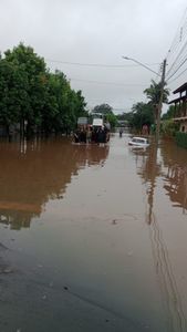 Florianópolis/SC - Vó Hermínia