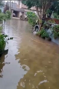 Vaquinha Online - Vó Hermínia