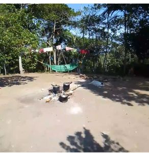 Causas e Comunidade - Ajude Vanessa e seus filhos a terem um lar - Praia do Sono 