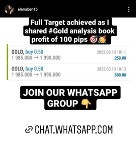 Forex Management imagem 6