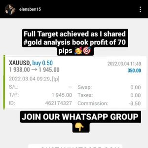 Financiamento Coletivo - Forex Management