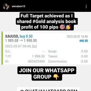 Empreendedorismo e Pequenos Negócios - Forex Management