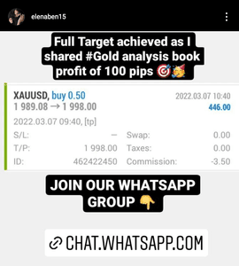 Forex Management imagem 10