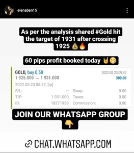 Forex Management imagem 7