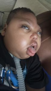 Todos pela vida de lorenzo imagem 6