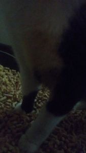 null - Ajude o galileu