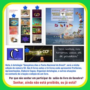 Celso Corrêa de Freitas - Não posso parar de querer ir...