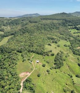 Dai Koo Myo - Um sonho em construção imagem 10