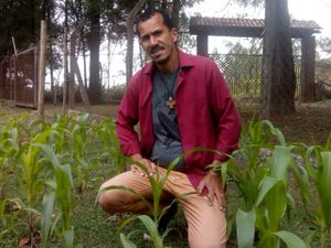 Financiamento Coletivo - AJUDE O SEMEAR