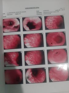 Vaquinha Online - Tratamento medicamentos e alimentos 