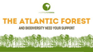 Vaquinha Online - Instituto Terra: Pela Mata Atlântica | The Atlantic Forest and biodiversity needs your help