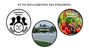 Empreendedorismo e Pequenos Negócios - "CONDOMÍNIO DE ESTUFA # + ALIMENTO # + EMPREGO"