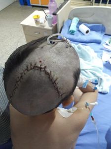 Brasília/DF - AJUDA GABRIEL