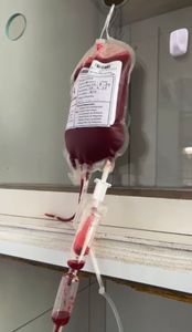 Animais - SALVE O MARLEY!