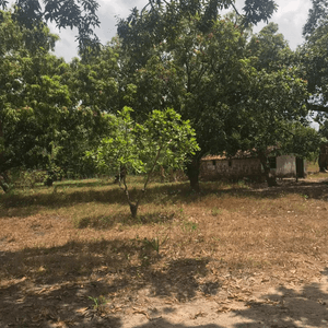 Ajudenos a salvar vidas imagem 6