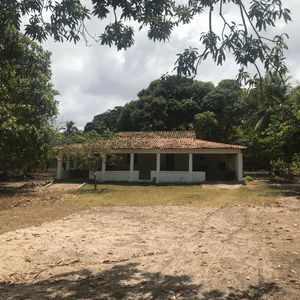 Vaquinha Online - Ajudenos a salvar vidas