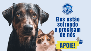 Projeto CEL: CENTENAS de animais abandonados precisam de você!