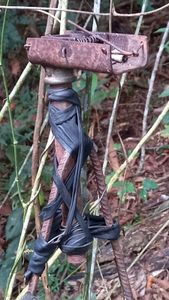 Animais - Ajudem-nos a salvar o Lucky. Gravemente ferido por uma arma de caça.