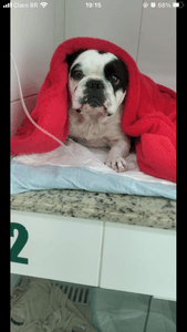 Vaquinha Online - Campanha para arrecadar o dinheiro da cirurgia de hernia de disco para o Jorge voltar a andar. 