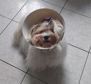 Ajude Mel a voltar a enxergar! - Ajude Mel a voltar a enxergar!