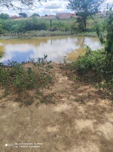 Francisco Sá/MG - Real