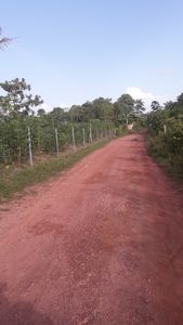 Vaquinha Online - Me ajude a ter um lar !