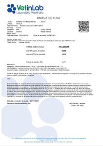 Vaquinha Online - Ajude Bob contra a babesia