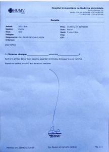 Animais - Ajude Bob contra a babesia