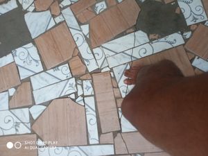 Vaquinha Online - a minha vida esse mês esta muito difícil depois das festas natal ano novo d carnaval o comércio esta muito roin