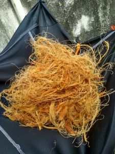 Crowdfunding - Casa sustentável