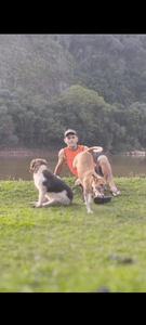 Vaquinha Online - Você pode fazer a diferença 