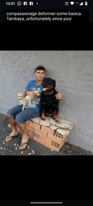 União da Vitória/PR - Você pode fazer a diferença 