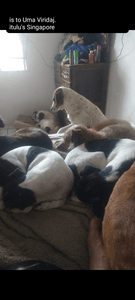 Cide protetor  - Você pode fazer a diferença 