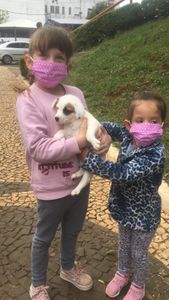 Do Au-Au ao Miau - Ajude a fundar a ONG imagem 9