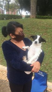 Do Au-Au ao Miau - Ajude a fundar a ONG imagem 8