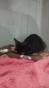 Saúde e Emergências - Ajude o José!