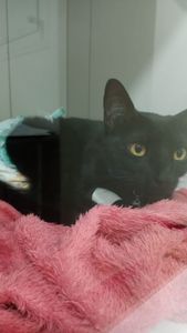 Vaquinha Online - Ajude o José!