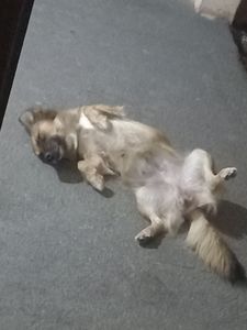 Nos Ajude a dar conforto a quem nos dá amor - Ajudem a dar conforto a quem nos dá amor