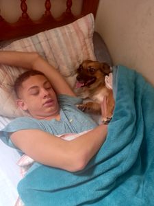 Ajudem a dar conforto a quem nos dá amor imagem 7