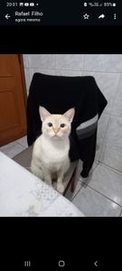 Eventos do Bem - Ajudem a dar conforto a quem nos dá amor