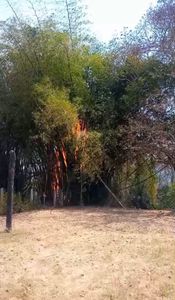 Rialma/GO - Reconstrução Rancho Lenita 