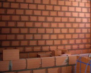 Vaquinha Online - Projeto ensinando a pescar 