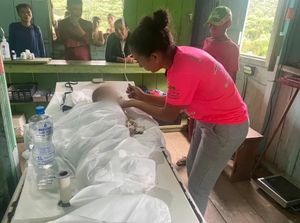 Águas Lindas de Goiás/GO - Ajude as crianças do povo Yanomami. Já morreram 570 crianças de desnutrição e fome pela contaminação por mercúrio.  