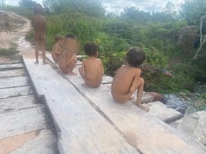 Ajude as crianças do povo Yanomami. Já morreram 570 crianças de desnutrição e fome pela contaminação por mercúrio.   imagem 6