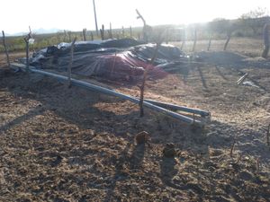 REFORMA EMERGENCIAL HÍDRICA NA ASSOCIAÇÃO DE UMARIZEIRO, SÃO FERNANDO - RN, NOVEMBRO DE 2022 imagem 6