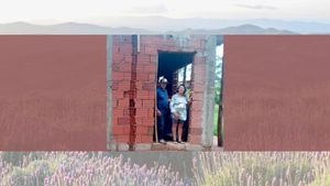 Casa da Familia do Tatú - Casa da Familia do Tatú