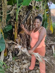 Pré-venda Coletiva - Beleza de Banana: Inovação e Impacto Social