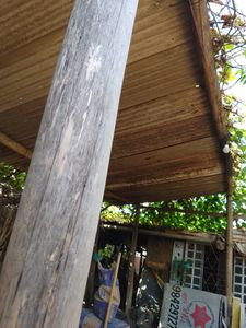 Vaquinha Online - Reconstruir o telhado do barraco de Maria Madalena