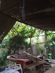 Telhado da Maria Madalena - Reconstruir o telhado do barraco de Maria Madalena