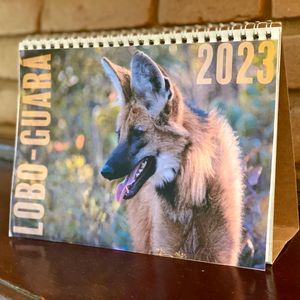 SEM SARNA PRA SE COÇAR! Ajude os lobos-guarás se livrarem da sarna